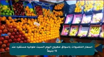 أسعار الخضروات بأسواق مطروح اليوم السبت ملوخية مستقرة عند 15 جنيهاً